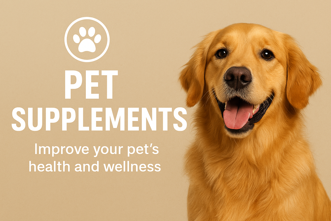 Top 5 Dog Supplements Every Pet Owner Should Know About in 2025