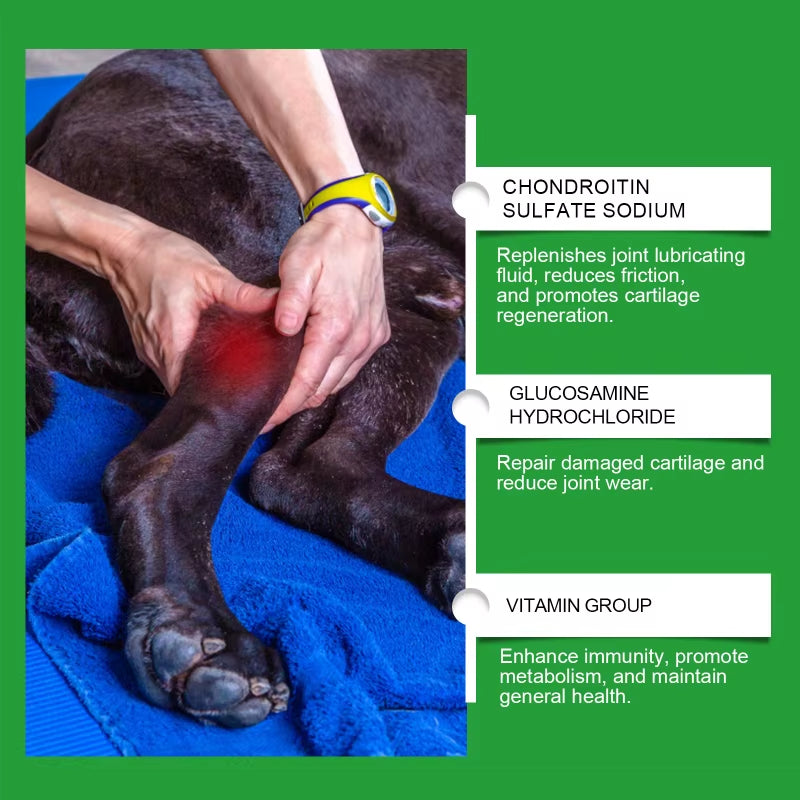 Advanced Dog Joint Health Formula 80 Tablets Joint Relief for Senior Dogs Active Pet Joint Caring Nutrition Tablets