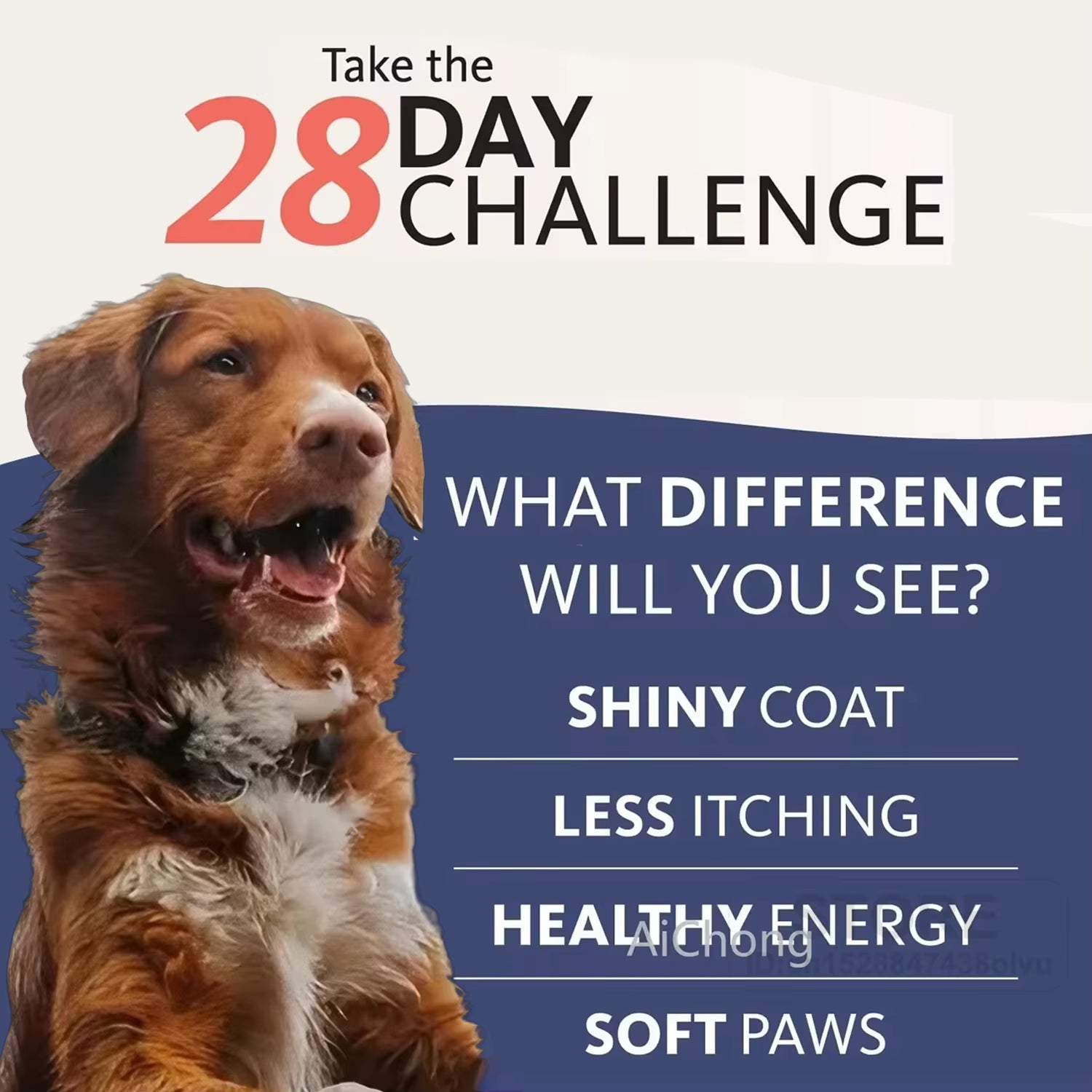 8 Fl Oz 200ML PET SALMON OIL Natural No Chemical Treatment 21 Omega Fatty Acids Nutritional Supplements for Dogs and Cats
