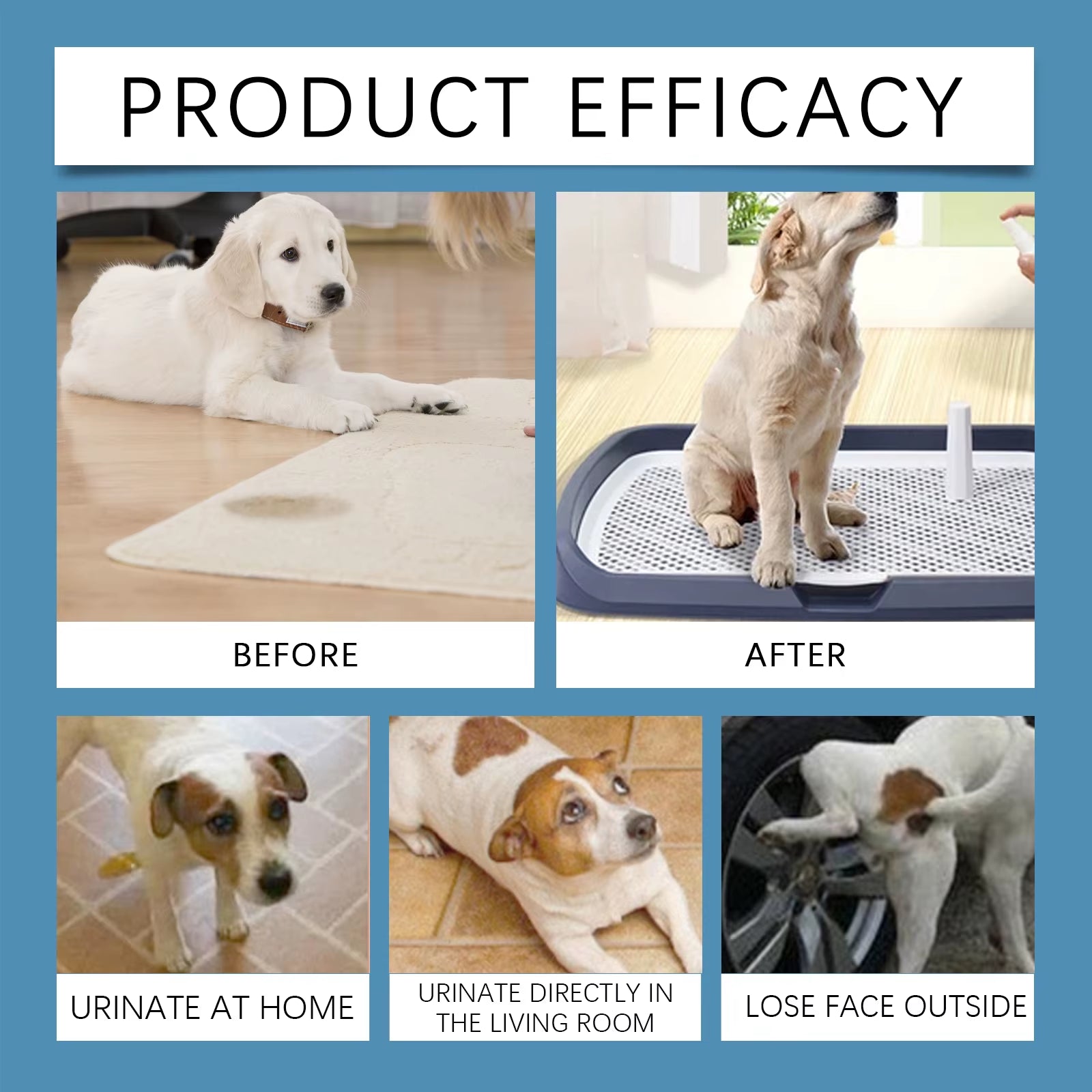 50Ml Pet Potty Training Spray with Gentle Attractant Scent Hypoallergenic Non Irritating Formula for Dogs and Cats