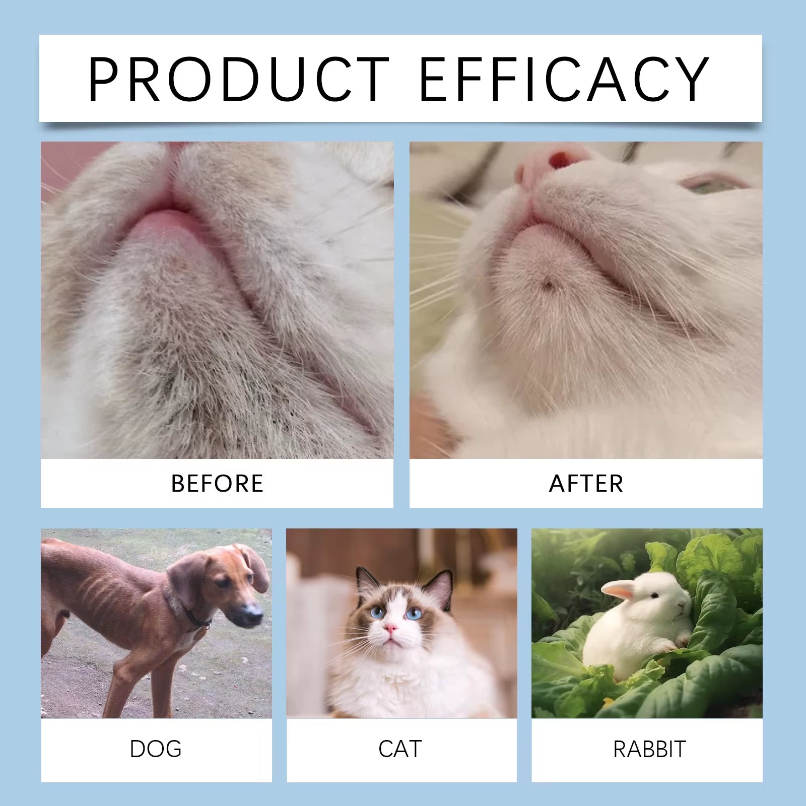 Pet Oral Hygiene Care Set Is a Gentle Cleaning and Maintenance Liquid for Cats and Dogs' Mouths