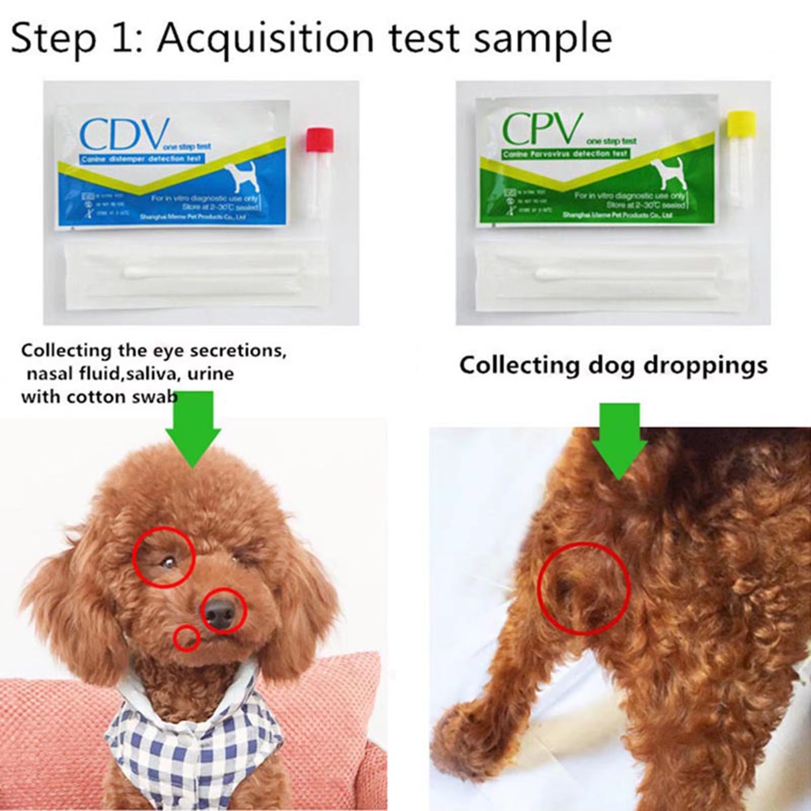 Canine CDV CPV Distemper Test Paper Kit Parvovirus Test Paper Kit Raid Strip Card Pet Dog Home Clinic Use