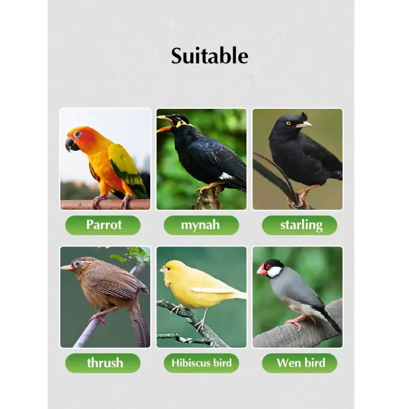 Parrot Body Deworming Drug Xuanfeng Thrush Tiger Skin Bird Deworming Drug Prevention Commonly Used Bird Special Insecticide