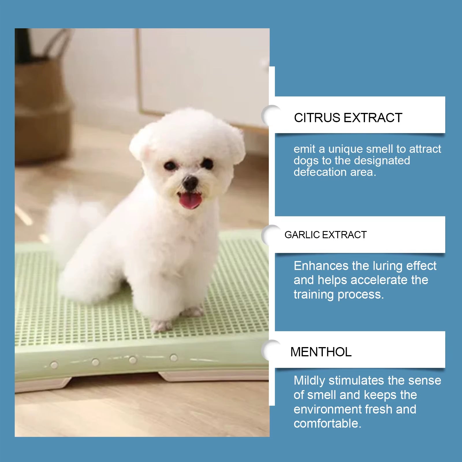 50Ml Pet Potty Training Spray with Gentle Attractant Scent Hypoallergenic Non Irritating Formula for Dogs and Cats