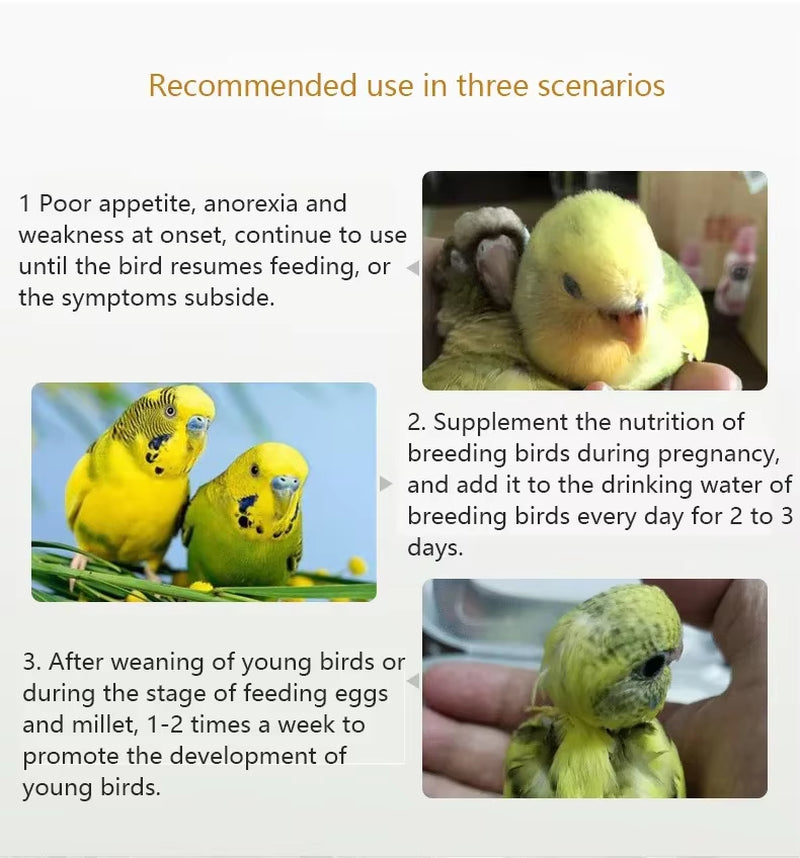 Parrot Bird Supplements Energy and Electrolyte Conditioning Health Care Products with Glucose Pigeons Parrot Bird Supplements E