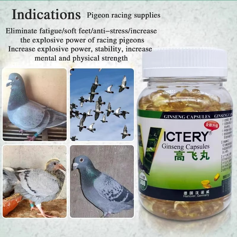 Pigeon Racing to Enhance Explosive Power, Eliminate Fatigue, Quickly Restore, and Return Home 300 Pigeon Health Products