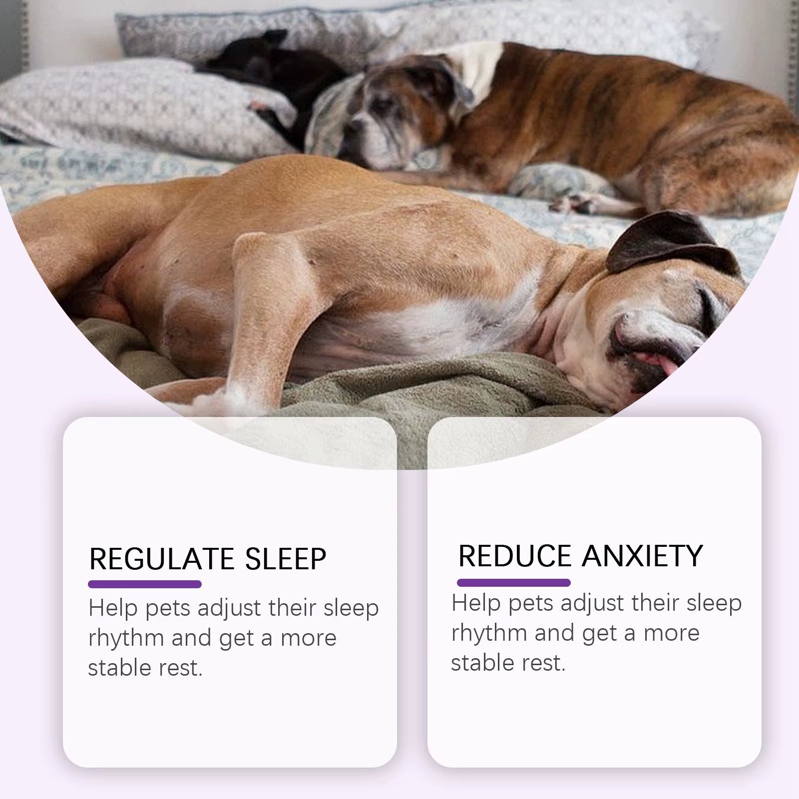 60ML Melatonin for Dogs Liquid Melatonin for Dogs, Calming for Dog, Melatonin for Dog Sleep Relieves Anxiety and Stress in Dog