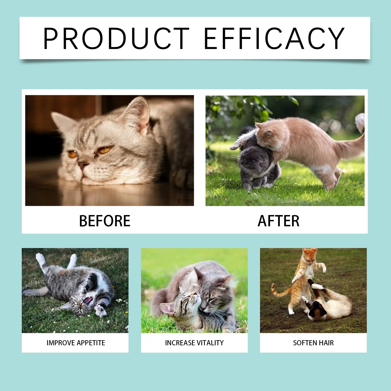 Cat Probiotic Tablets Improve Intestinal Health, Balance Digestion and Absorption, and Are Pet Nutritional Supplements