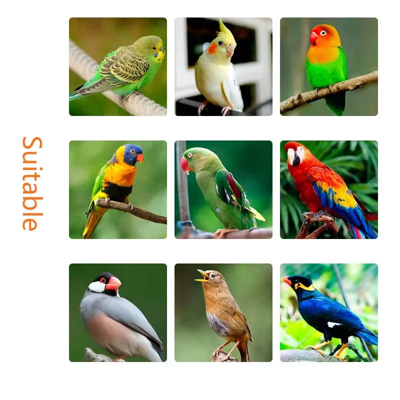 Parrot Bird Supplements Energy and Electrolyte Conditioning Health Care Products with Glucose Pigeons Parrot Bird Supplements E