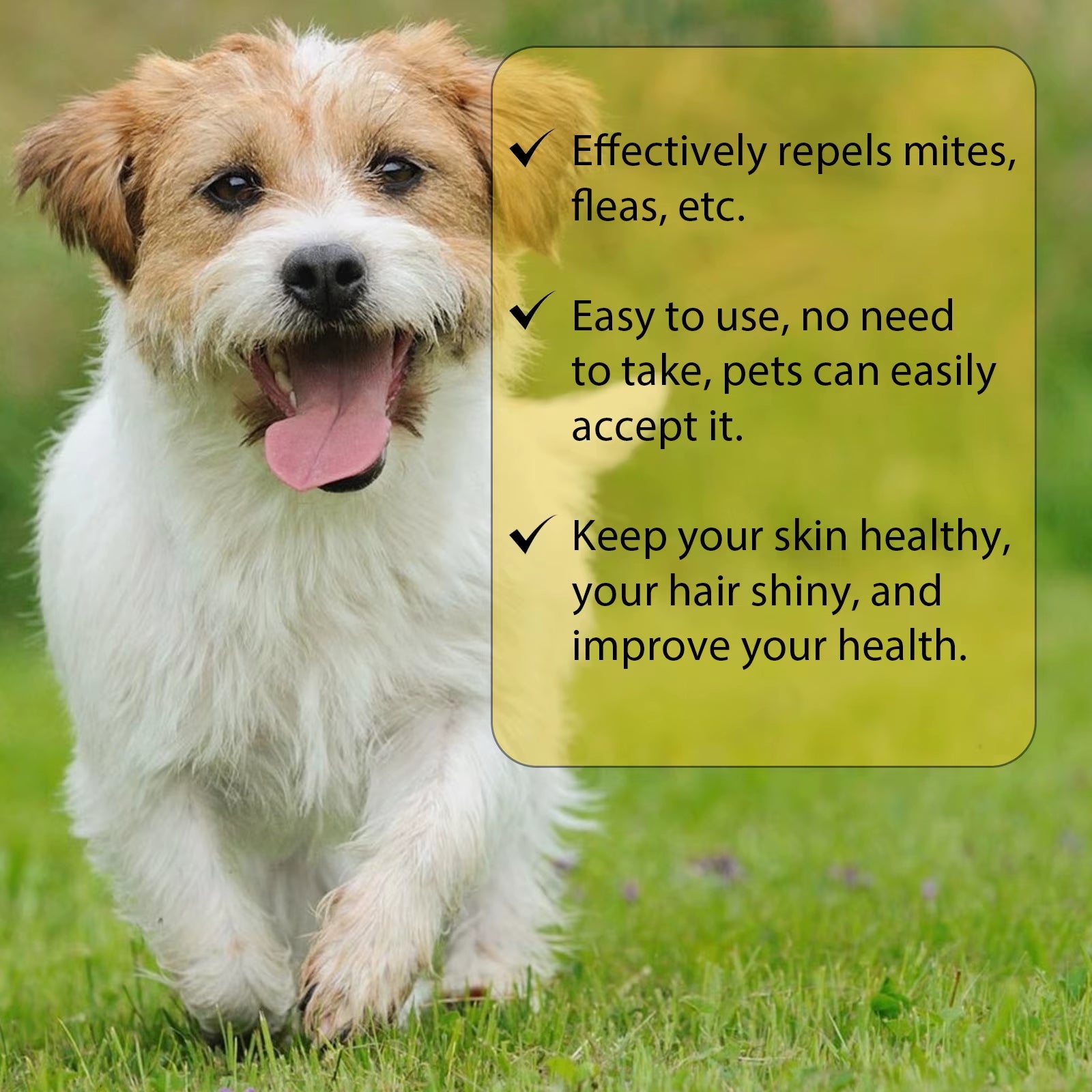 Cat anti Flea Drops Flea Lice Remove Relieve Skin Itching External Insect Repellent Deworming Supplies Pet Tick Treatment Drops